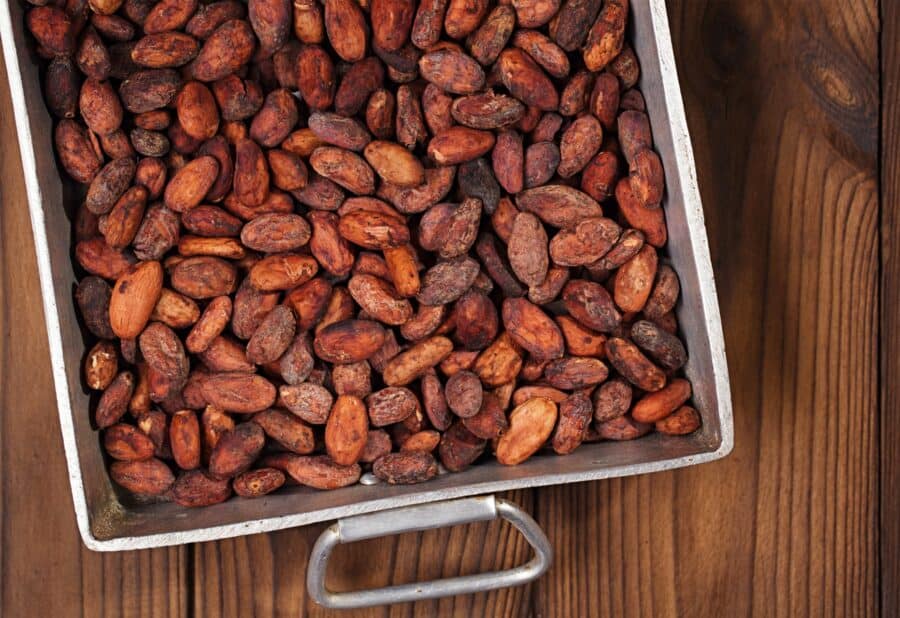 granos de cacao tostados