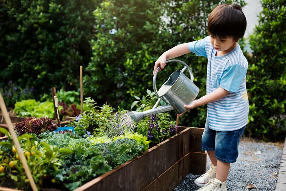 Enseñar a los niños a cuidar el jardín para una mejor salud.